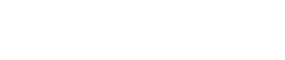 h-optimal